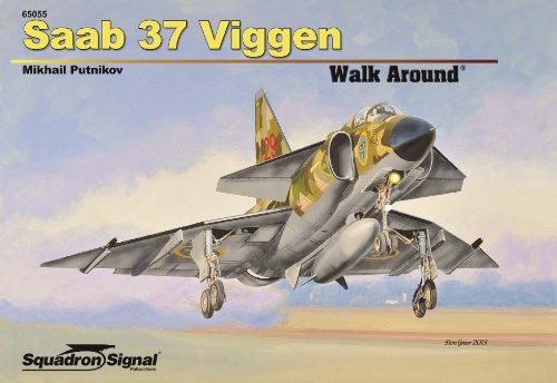 9780897477161: Saab 37 Viggen Walk Around (65055)