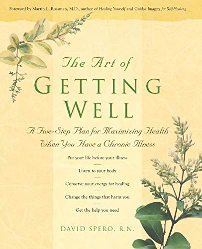 Imagen de archivo de The Art of Getting Well: Maximizing Health and Well-being When You Have a Chronic Illness a la venta por SecondSale