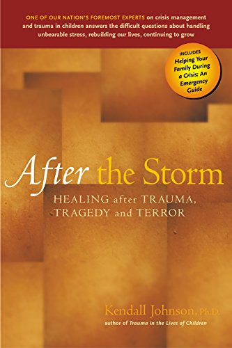 Imagen de archivo de After the Storm : Healing after Trauma, Tragedy and Terror a la venta por Better World Books