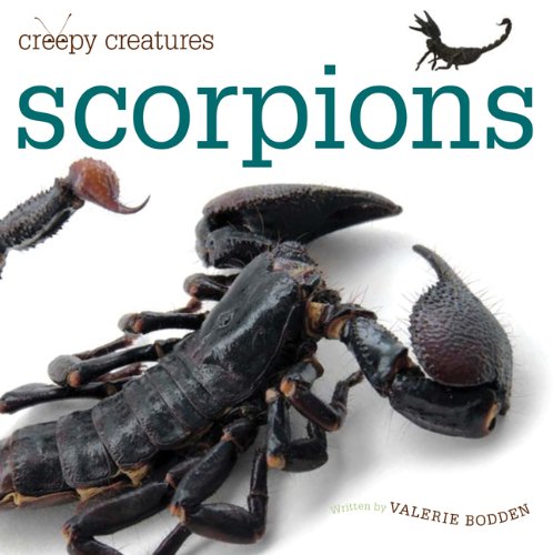 Stock image for Creepy Creatures: Scorpions for sale by Wonder Book