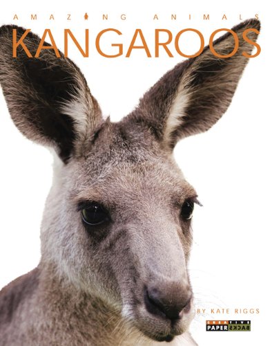 Beispielbild fr Amazing Animals: Kangaroos zum Verkauf von Better World Books