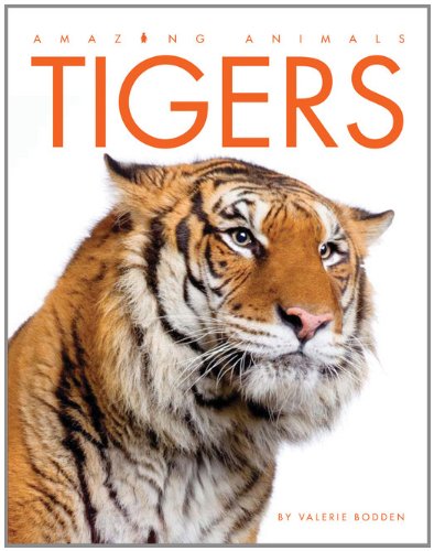 9780898127454: Tigers (Amazing Animals)