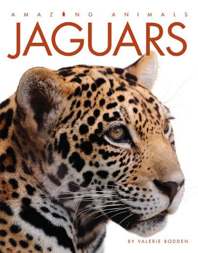 Beispielbild fr Amazing Animals: Jaguars zum Verkauf von Wonder Book