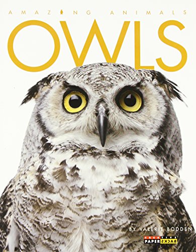 Stock image for Amazing Animals: Owls for sale by Zoom Books Company