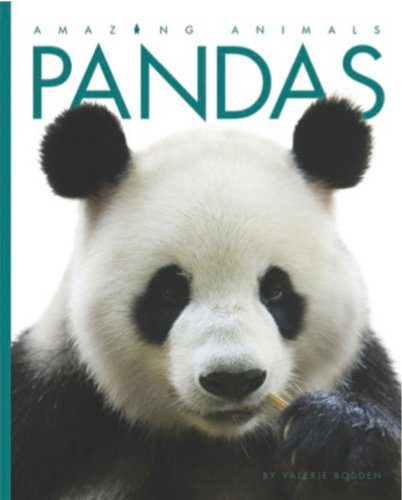 Imagen de archivo de Amazing Animals: Pandas a la venta por SecondSale