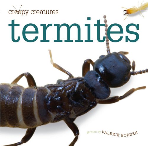 Beispielbild fr Creepy Creatures: Termites zum Verkauf von Better World Books