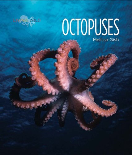 9780898128420: Octopuses (Living Wild)