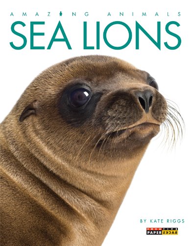 Beispielbild fr Amazing Animals: Sea Lions zum Verkauf von Wonder Book