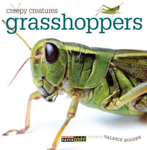 Beispielbild fr Grasshoppers zum Verkauf von Buchpark