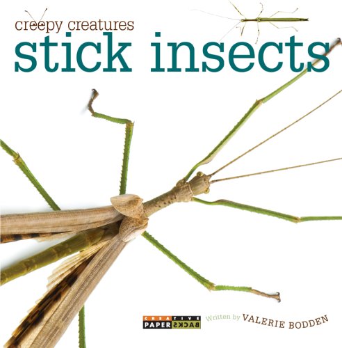 9780898129380: Stick Insects (Creepy Creatures (Creative Education))