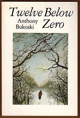 Stock image for Twelve Below Zero for sale by Cambridge Books