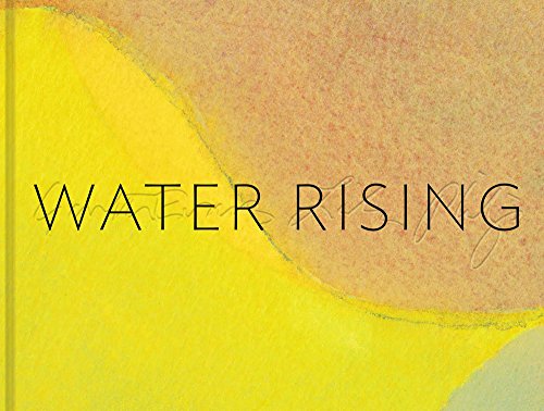 Stock image for WATER RISING for sale by Sheila B. Amdur