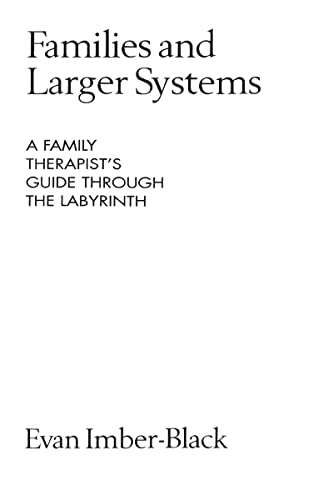 Beispielbild fr Families and Larger Systems: A Family Therapist's Guide Through the Labyrinth (The Guilford Family Therapy Series) zum Verkauf von Wonder Book