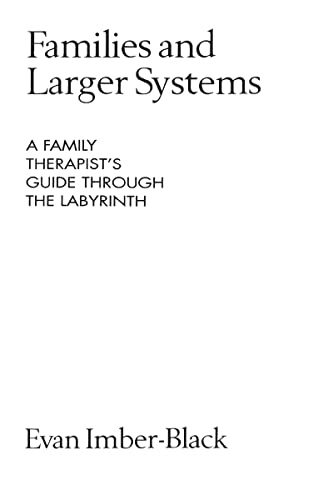 Imagen de archivo de Families and Larger Systems: A Family Therapist's Guide Through the Labyrinth (The Guilford Family Therapy Series) a la venta por Nealsbooks