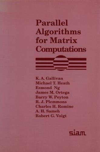 Imagen de archivo de Parallel Algorithms for Matrix Computations a la venta por Avalon Books