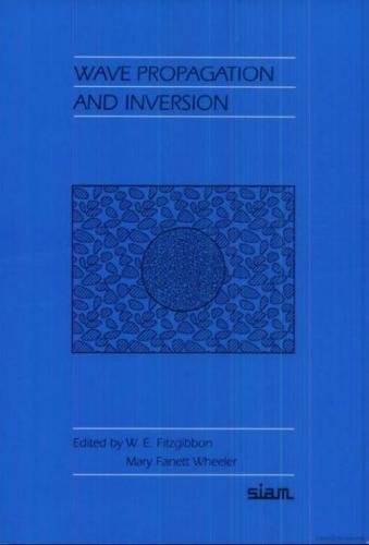 9780898713008: Wave Propagation and Inversion