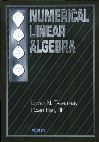 9780898713619: Numerical Linear Algebra Paperback