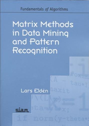 9780898716269: Matrix Methods in Data Mining and Pattern Recognition