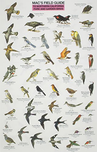 9780898863147: Mac's Field Guide Northern California Park & Garden Birds