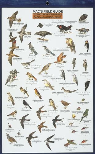 Beispielbild fr Macs Field Guides: Southern California Park Garden Birds (Macs Guides (Flash Cards)) zum Verkauf von Goodwill of Colorado