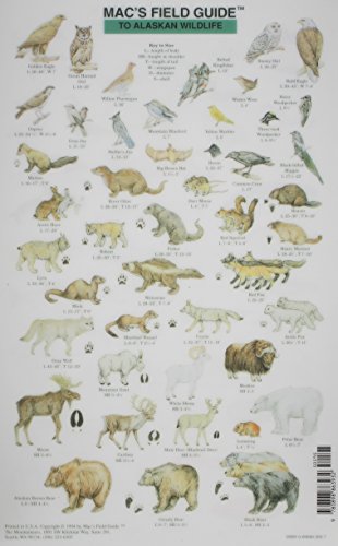 Mac s Field Guide to Alaskan Wildlife. Schautafel. Two-sided plastic laminated card