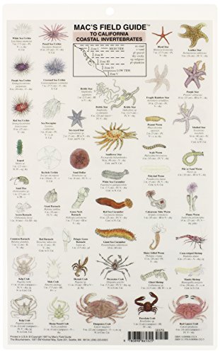 Imagen de archivo de California Coastal Invertebrates (Mac's Guides) a la venta por SecondSale