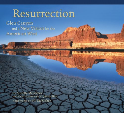 Imagen de archivo de Resurrection: Glen Canyon and a New Vision for the American West a la venta por Michael Patrick McCarty, Bookseller