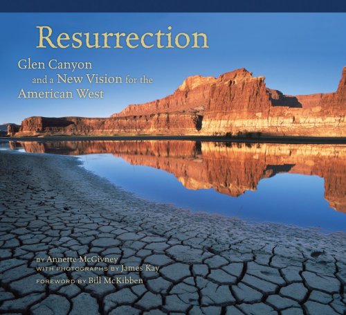 Stock image for Resurrection: Glen Canyon and a New Vision for the American West for sale by Michael Patrick McCarty, Bookseller