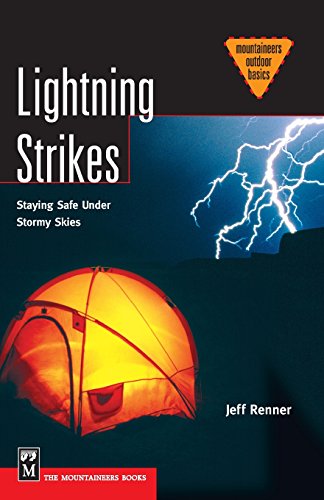 Stock image for Lightning Strikes: Staying Safe Under Stormy Skies for sale by Jenson Books Inc