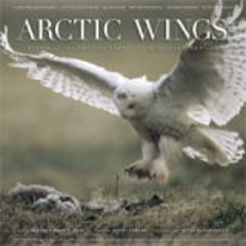 Beispielbild fr Arctic Wings : Birds of the Arctic National Wildlife Refuge zum Verkauf von P.C. Schmidt, Bookseller