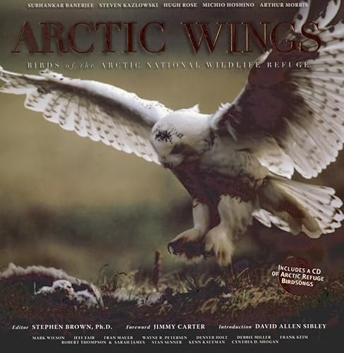 Stock image for Arctic Wings: Birds of the Arctic National Wildlife Refuge for sale by Orphans Treasure Box