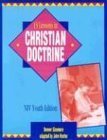 Imagen de archivo de 13 Lessons Christian Doctrine: Youth Edition with NIV a la venta por Your Online Bookstore
