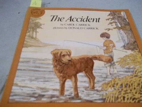 Imagen de archivo de The Accident a la venta por Gulf Coast Books