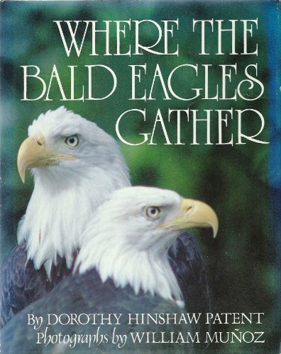 Where the Bald Eagles Gather (9780899192307) by Patent, Dorothy Hinshaw