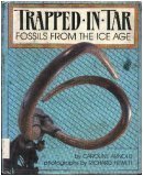 Trapped in Tar: Fossils from the Ice Age (A Junior Library Guild Selection) - Arnold, Caroline