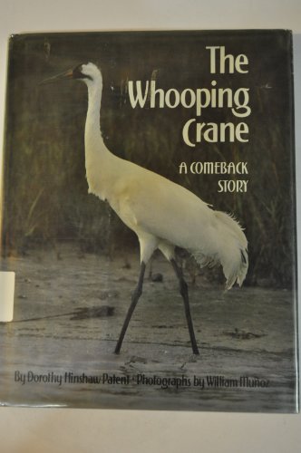 The Whooping Crane: A Comeback Story