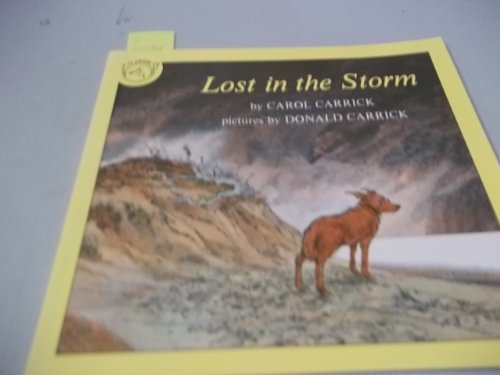 Imagen de archivo de Lost in the Storm a la venta por Once Upon A Time Books