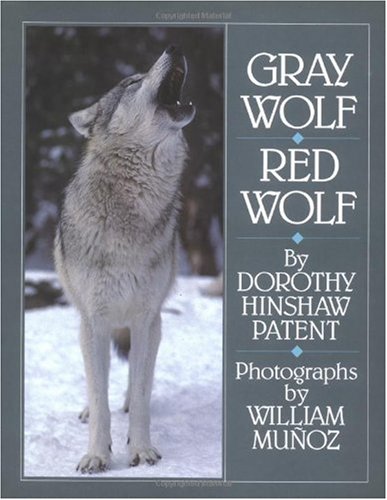 Imagen de archivo de Gray Wolf, Red Wolf a la venta por SecondSale