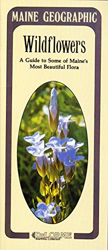 Wildflowers: A Guide to Some of Maine's Most Beautiful Flora (Maine Geographic) (9780899330549) by Delorme; Feller-Roth, Barbara