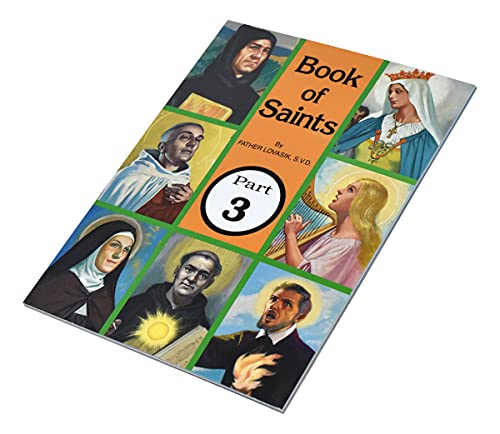 Imagen de archivo de Book of Saints (Part 3): Super-Heroes of Godvolume 3 a la venta por Gulf Coast Books