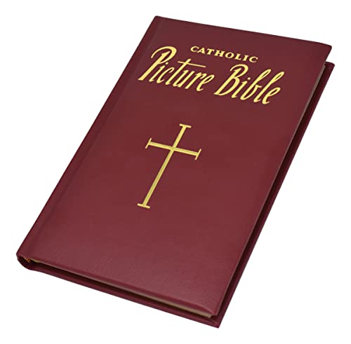 Stock image for New Catholic Picture Bible: Popular Stories from the Old and New Testaments for sale by ThriftBooks-Dallas