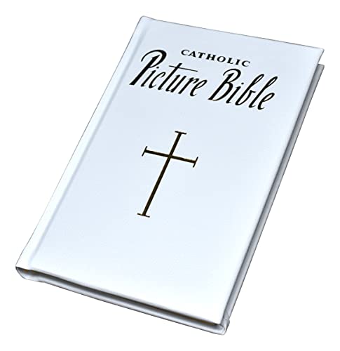 Stock image for New Catholic Picture Bible: Popular Stories from the Old and New Testaments for sale by Half Price Books Inc.