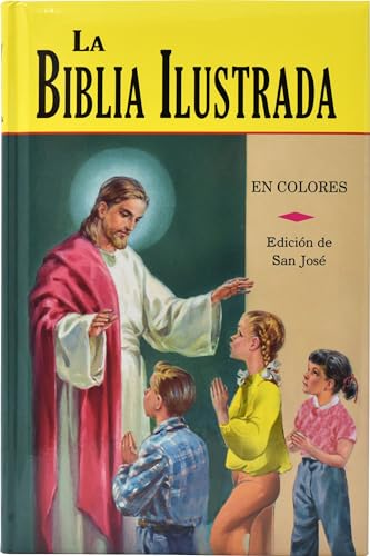 Imagen de archivo de La Biblia Ilustrada: La Historia Sagrada en Laminas a la venta por PlumCircle