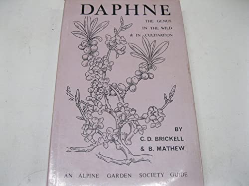 9780900048234: Daphne: The Genus in the Wild and in Cultivation