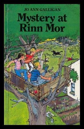 Stock image for Mystery at Rinn Mor for sale by WorldofBooks