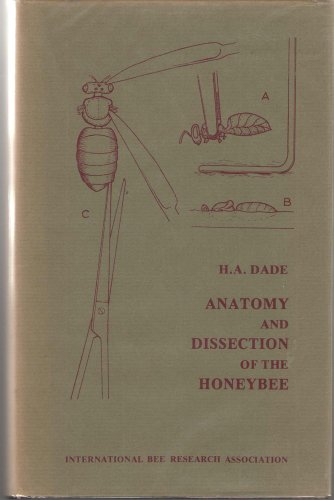 9780900149986: Anatomy and Dissection of the Honeybee