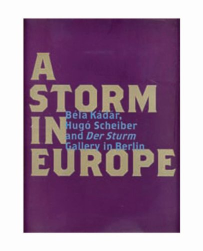 9780900157028: Storm in Europe
