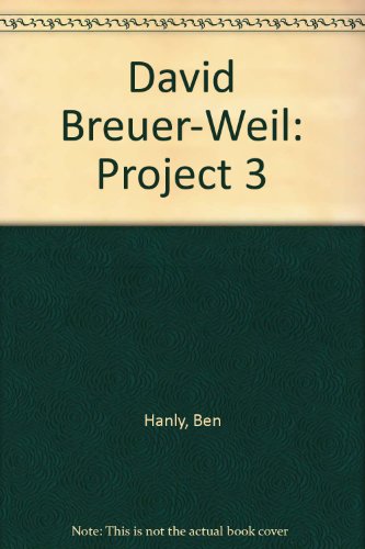 Stock image for David Breuer-Weil: Project 3 for sale by WorldofBooks