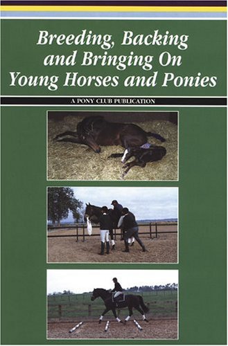 Stock image for Breeding, Backing and Bringing on Young Horses and Ponies for sale by Better World Books Ltd