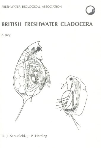 9780900386015: Key to the British Species of Freshwater Cladocera